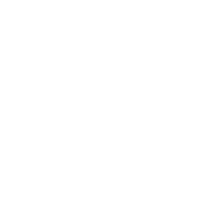 spray bottle icon