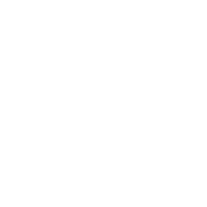 pin in a map icon