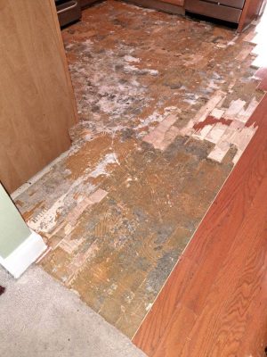 water damaged floor in kitchen after flooring has been taken up